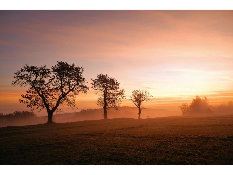 peaceful sunrise morning 5 am rich person daily routine start